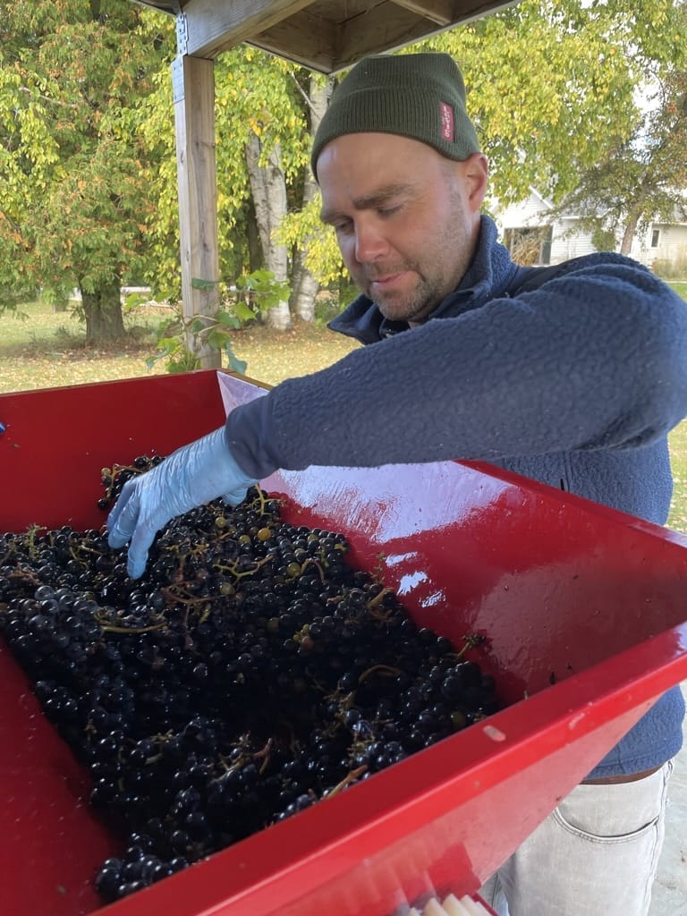 Gathering Ground Vineyard