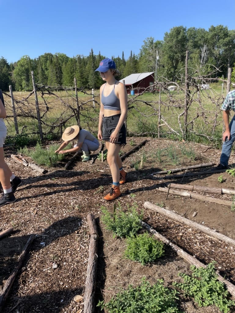 Agricultural Internship