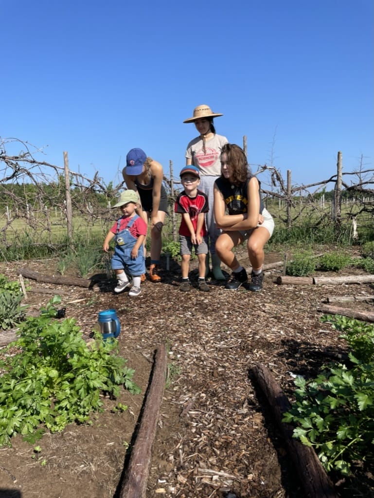 Agricultural Internship