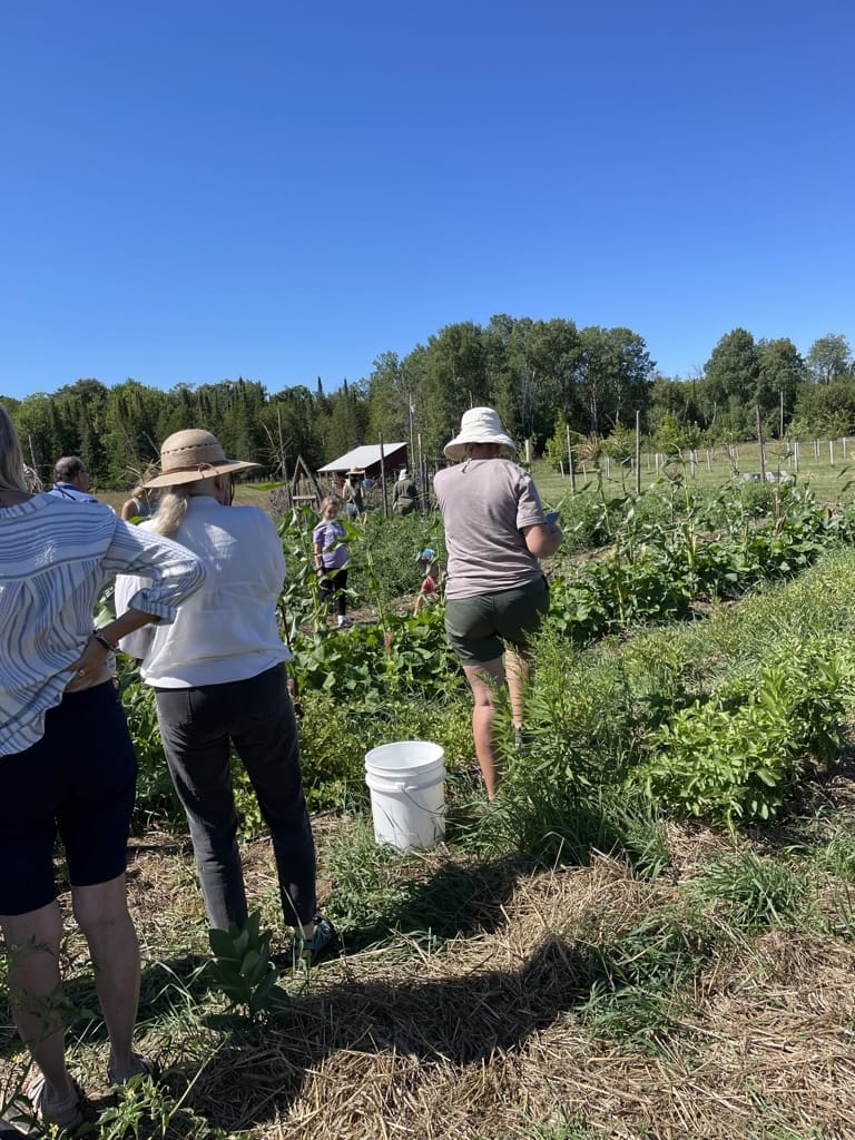 Agricultural Internship