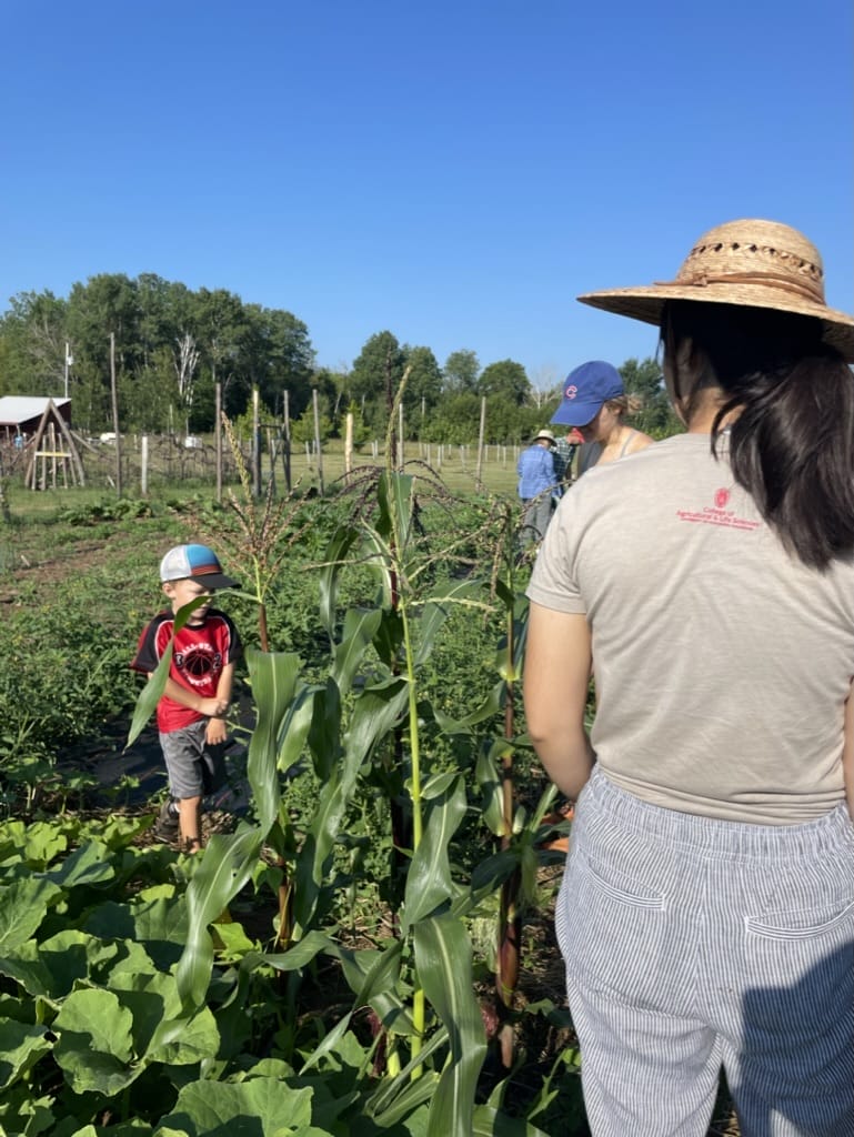 Agricultural Internship