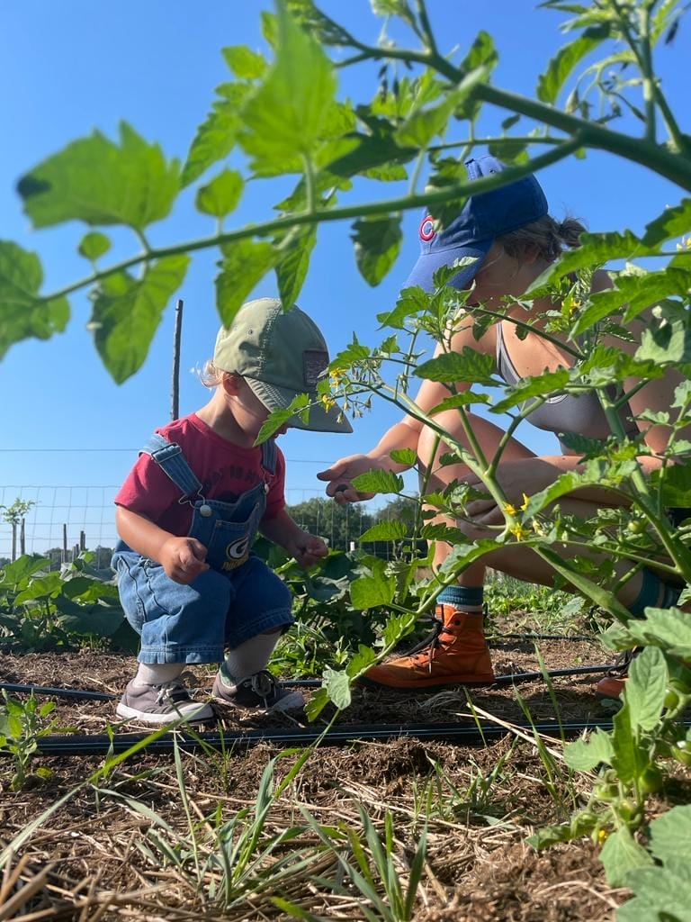 Agricultural Internship