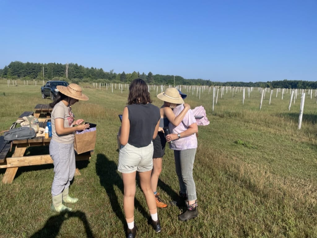 Agricultural Internship