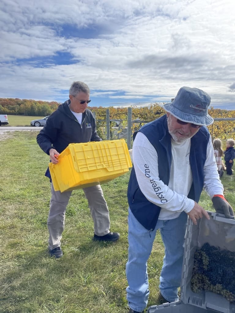 Gathering Ground Vineyard