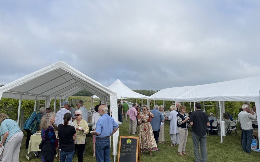 Dinner in the Vineyard Recap