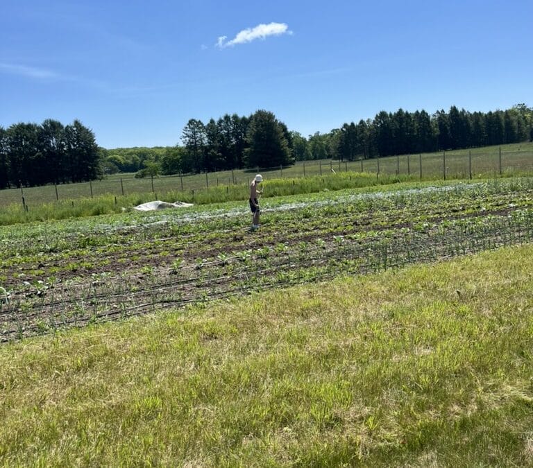 2025 Farm Update