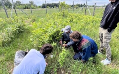 Ground School 2025 Review