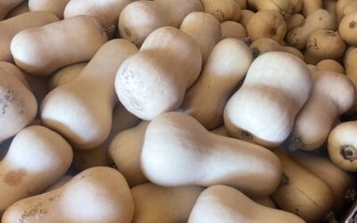 Year In Review: 2025