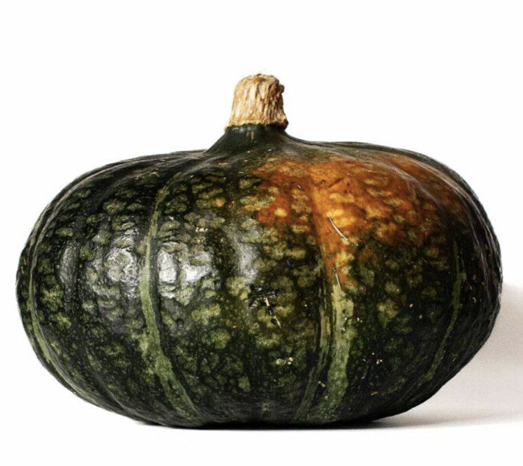 Kabocha