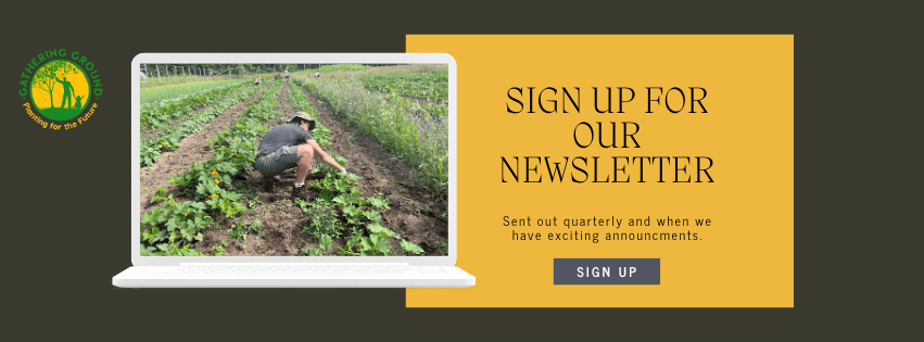 Newsletter sign up