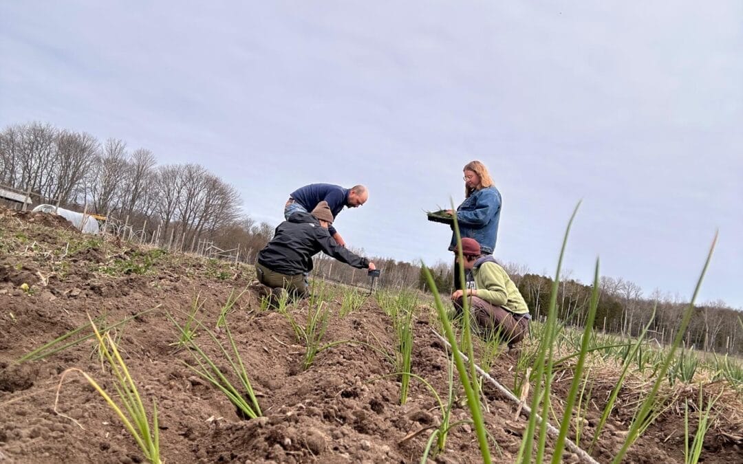 Ground School Update